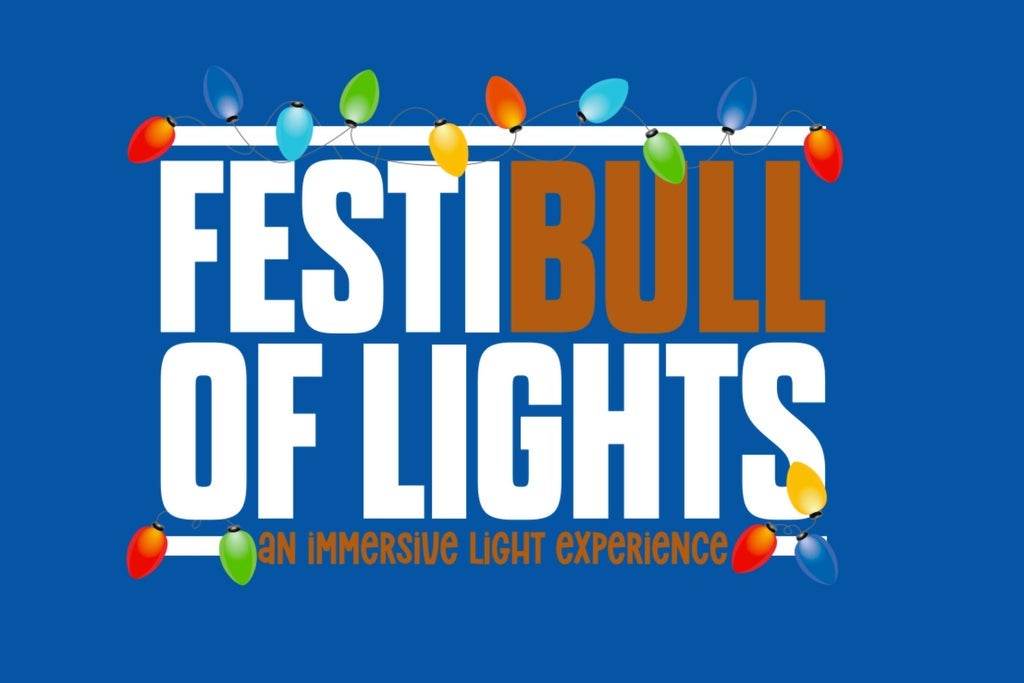FestiBull of Lights