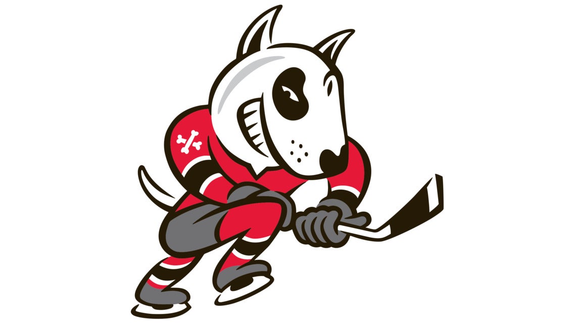 Niagara IceDogs vs. Sarnia Sting event image