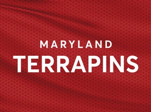 University of Maryland Terrapins Volleyball