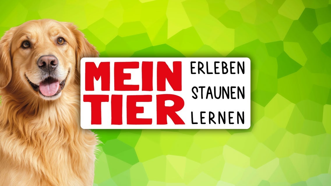 Mein Tier