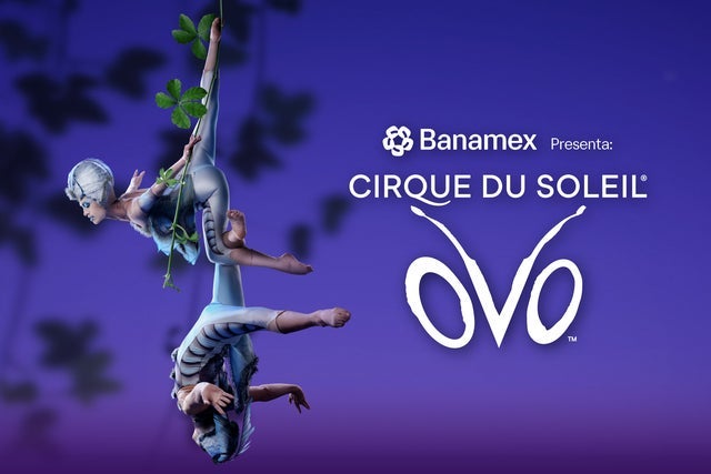 Presale codes for cirque du soleil: ovo: members use these when buying pre-sale tickets