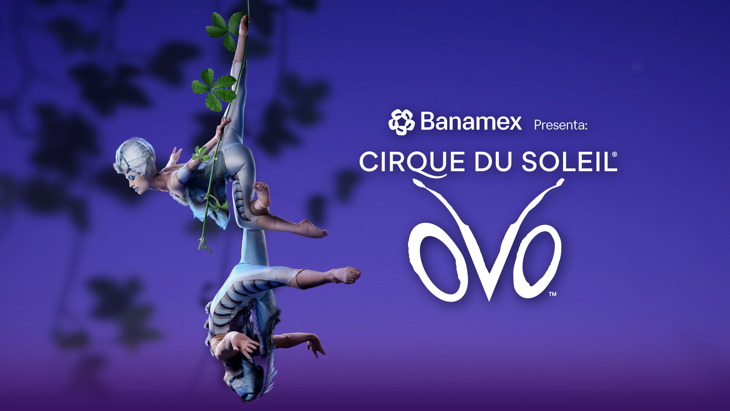 Presale codes for ovo cirque du soleil: members use these when buying pre-sale tickets