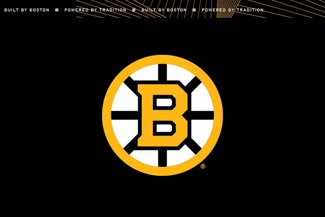 Boston Bruins hero