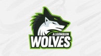 Algonquin Wolves Volleyball in Canada