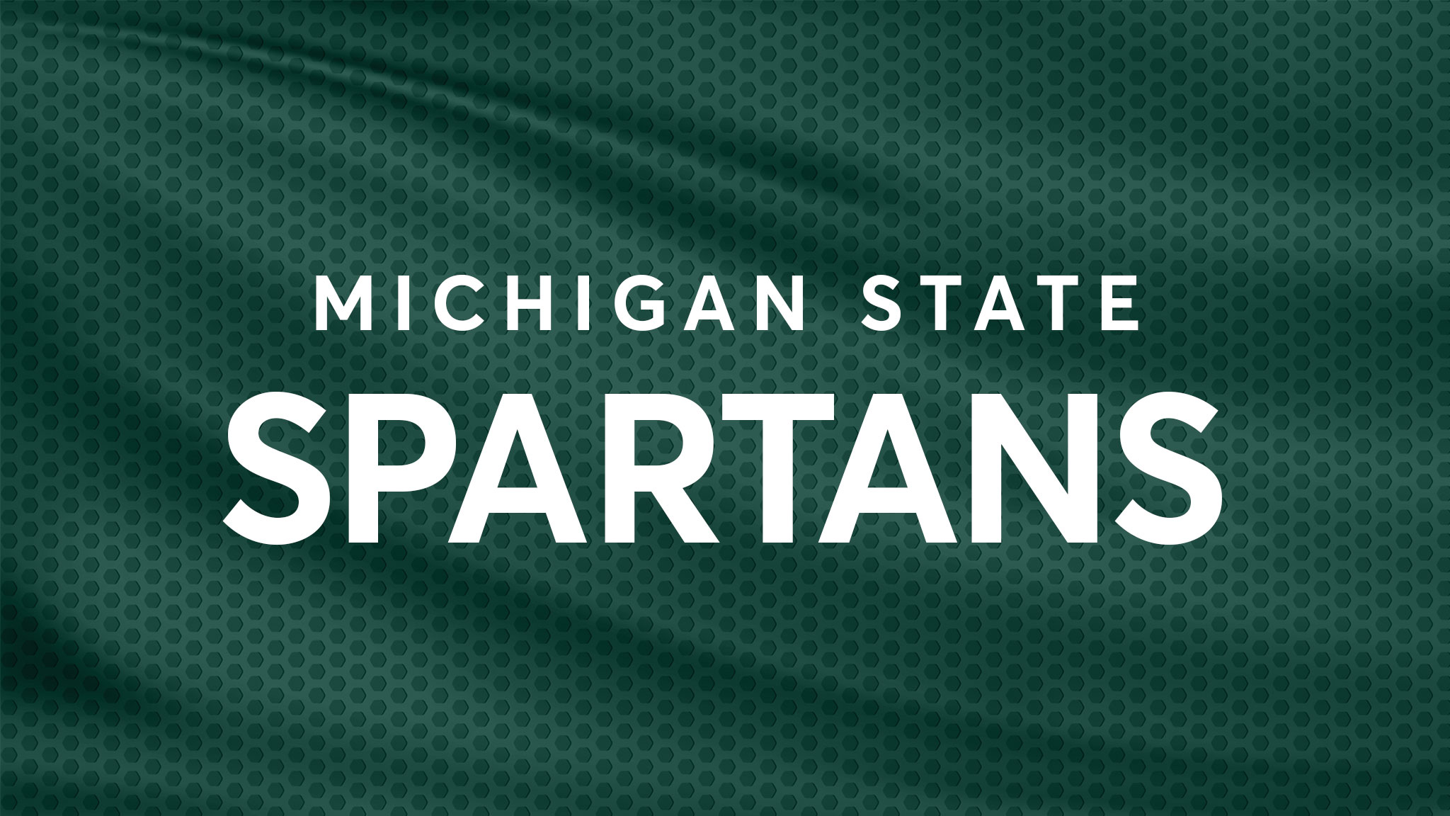 Michigan State Spartans Softball