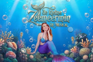 De Kleine Zeemeermin, de Musical show poster
