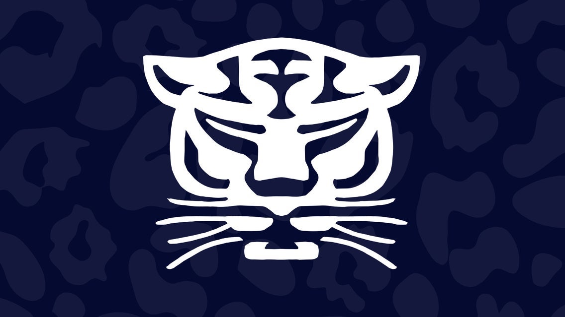 Birmingham Panthers נגד Leeds Rhinos