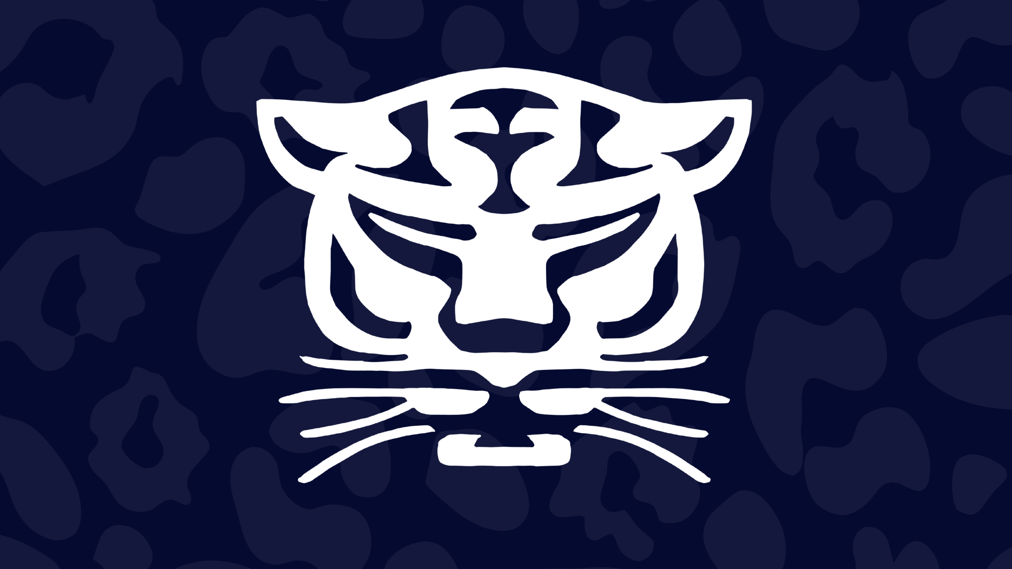 Birmingham Panthers