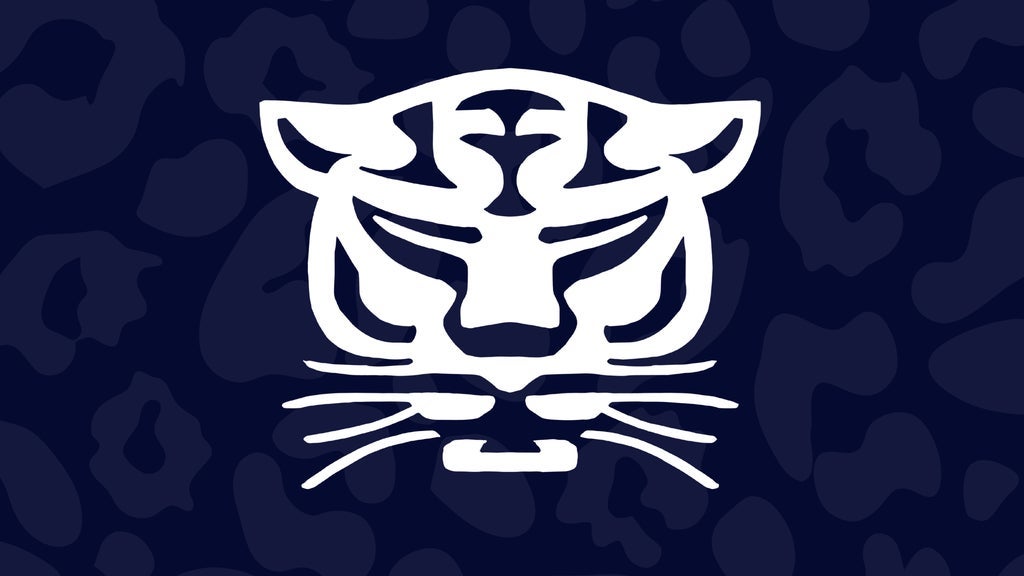 Birmingham Panthers