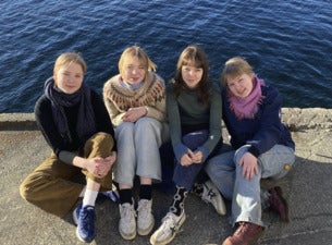 Bilde for arrangement Vepsestikk
