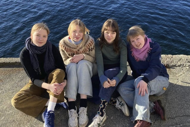Vepsestikk
