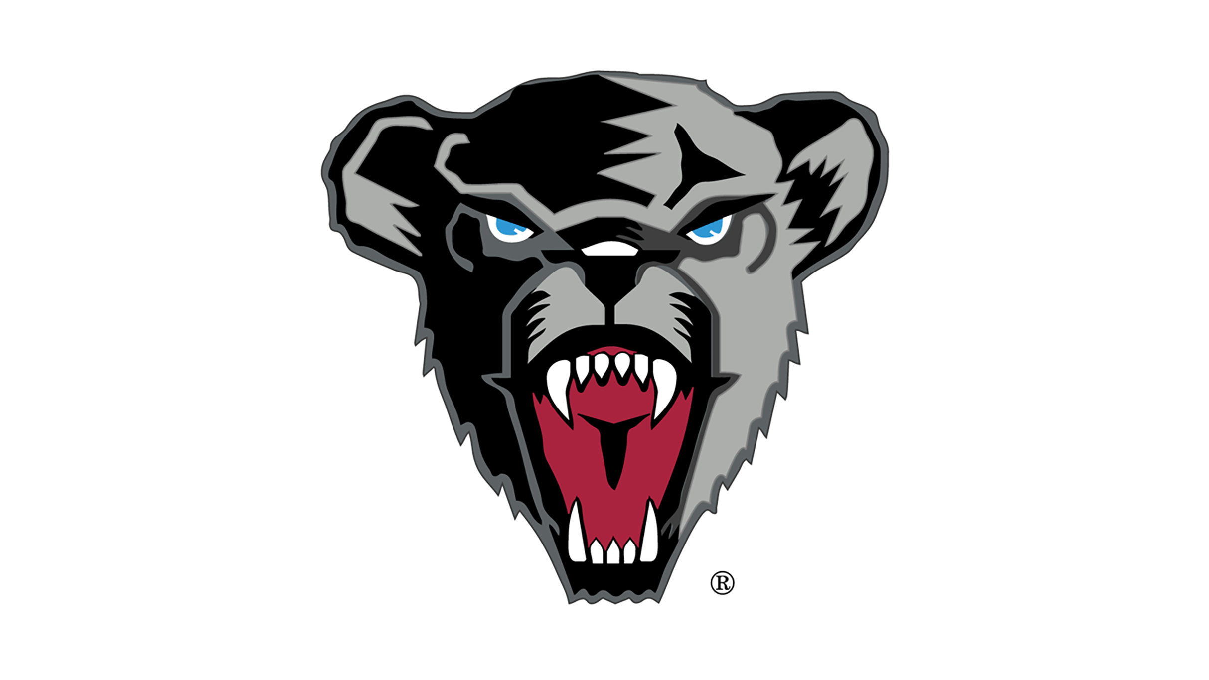 Husson University Men's Basketball