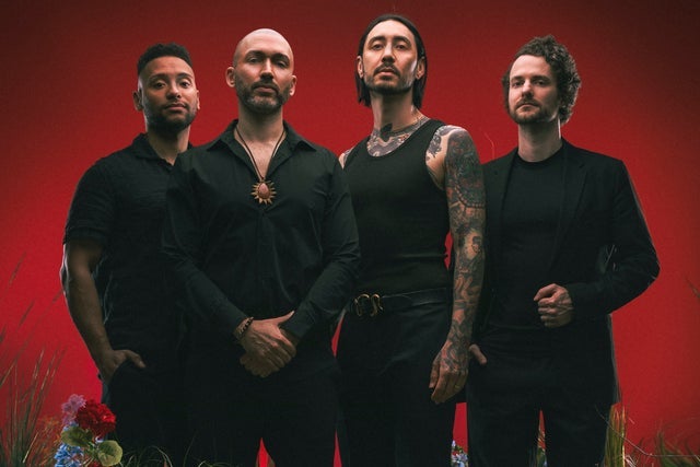 The Number Twelve Looks Like You in Los Angeles promotional photo for Citi® Cardmember Preferred presale tickets offer