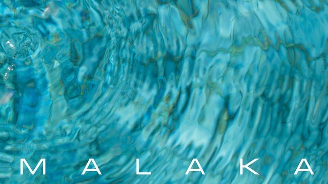 ALI – John Paul Patton + Arswandaru Cahyo + Absar Lebeh in Knust, Hamburg 15/07/2025