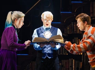De theatersensatie Harry Potter
