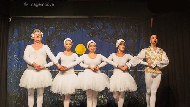 Schwanensee in Stützstrümpfen