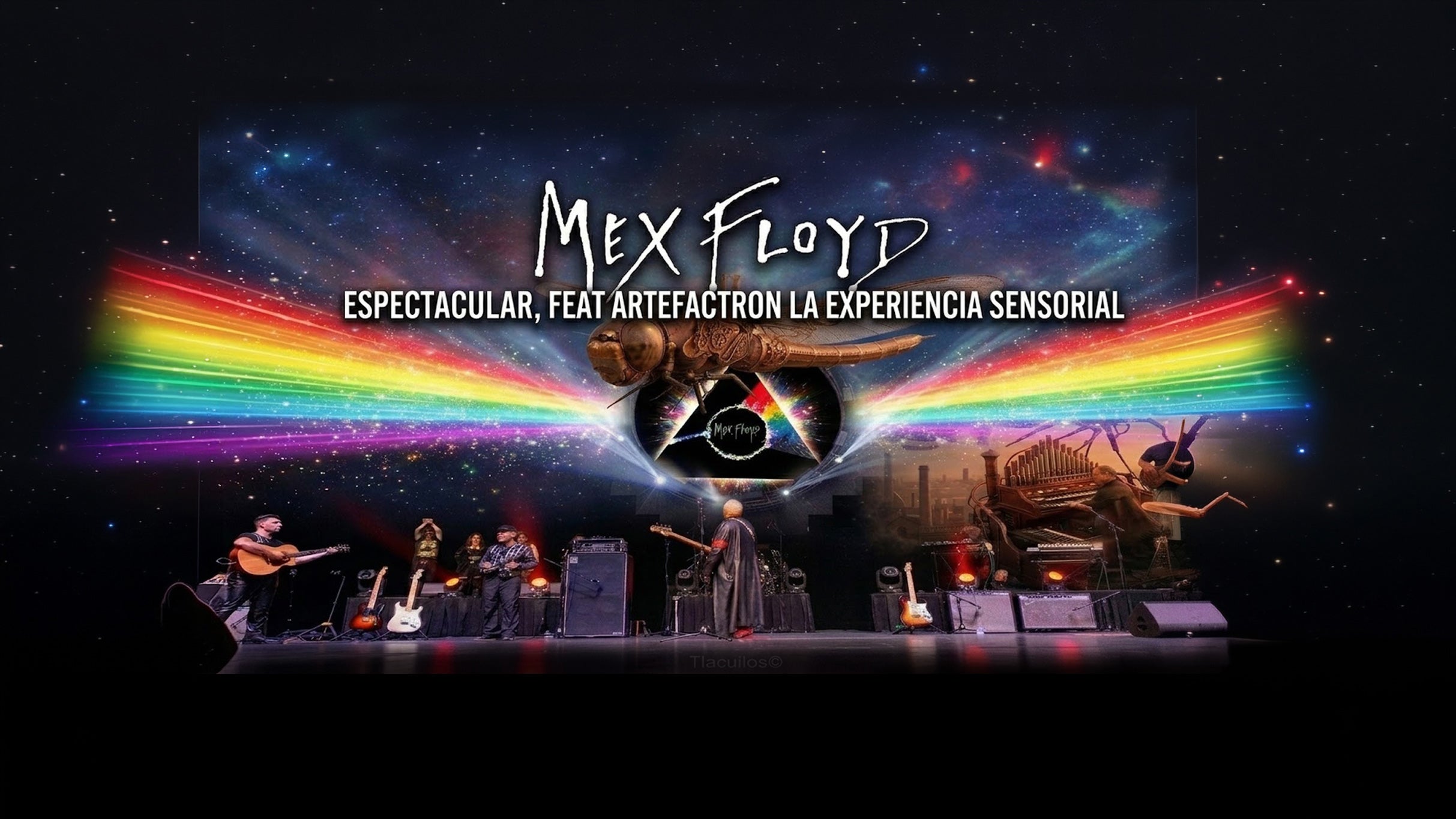 MexFloyd