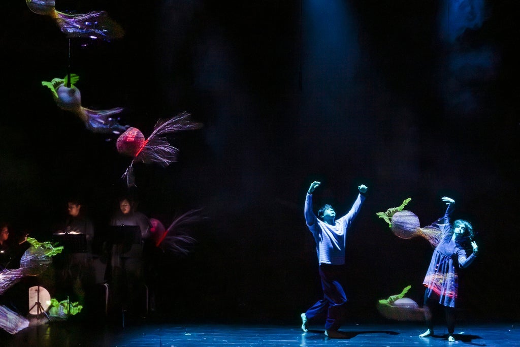 "Stage of the Arts México & Compañía Flotante, La ópera de los monstru