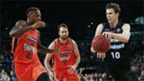 Cairns Taipans