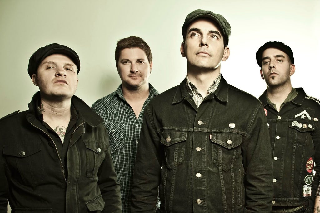 Street Dogs