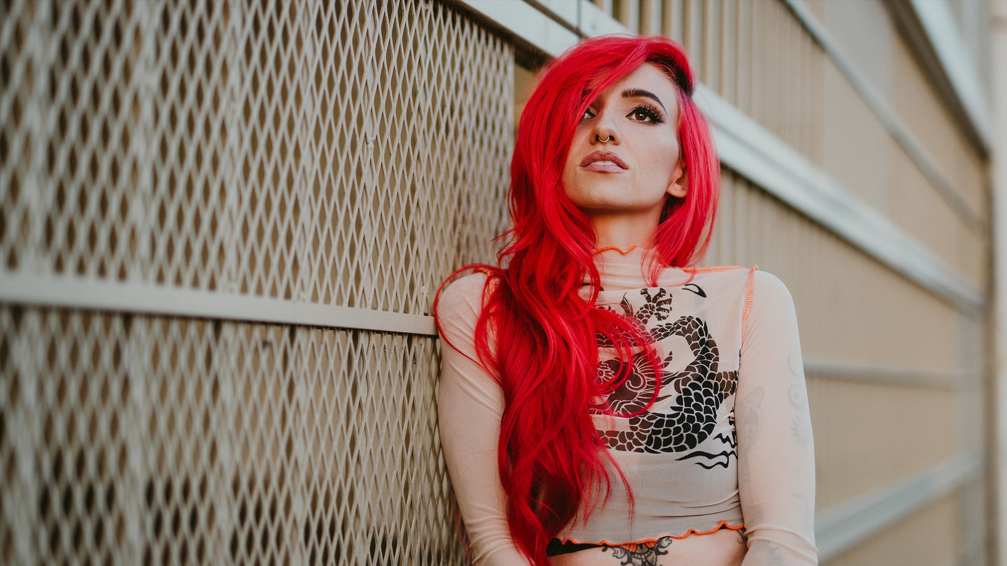 Lights - We Were Here Tour in Kansas City promo photo for Local presale offer code