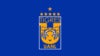 Leagues Cup Group Stage: Tigres v Inter Miami CF