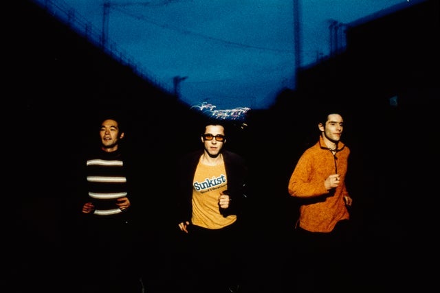 Feeder - Polythene Live