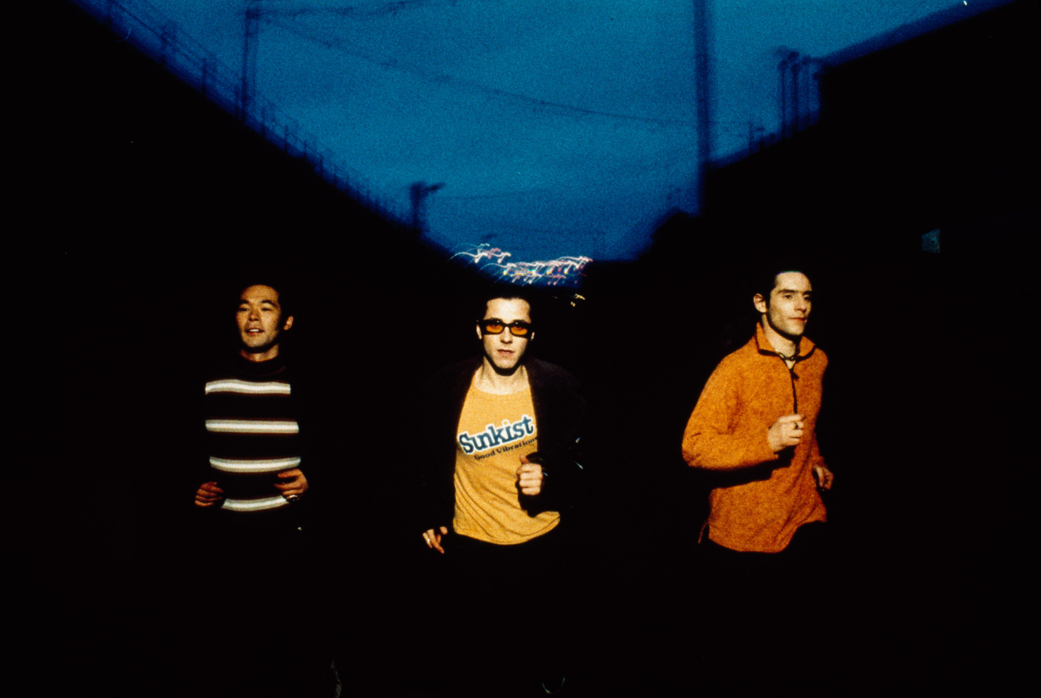 Feeder - Polythene Live
