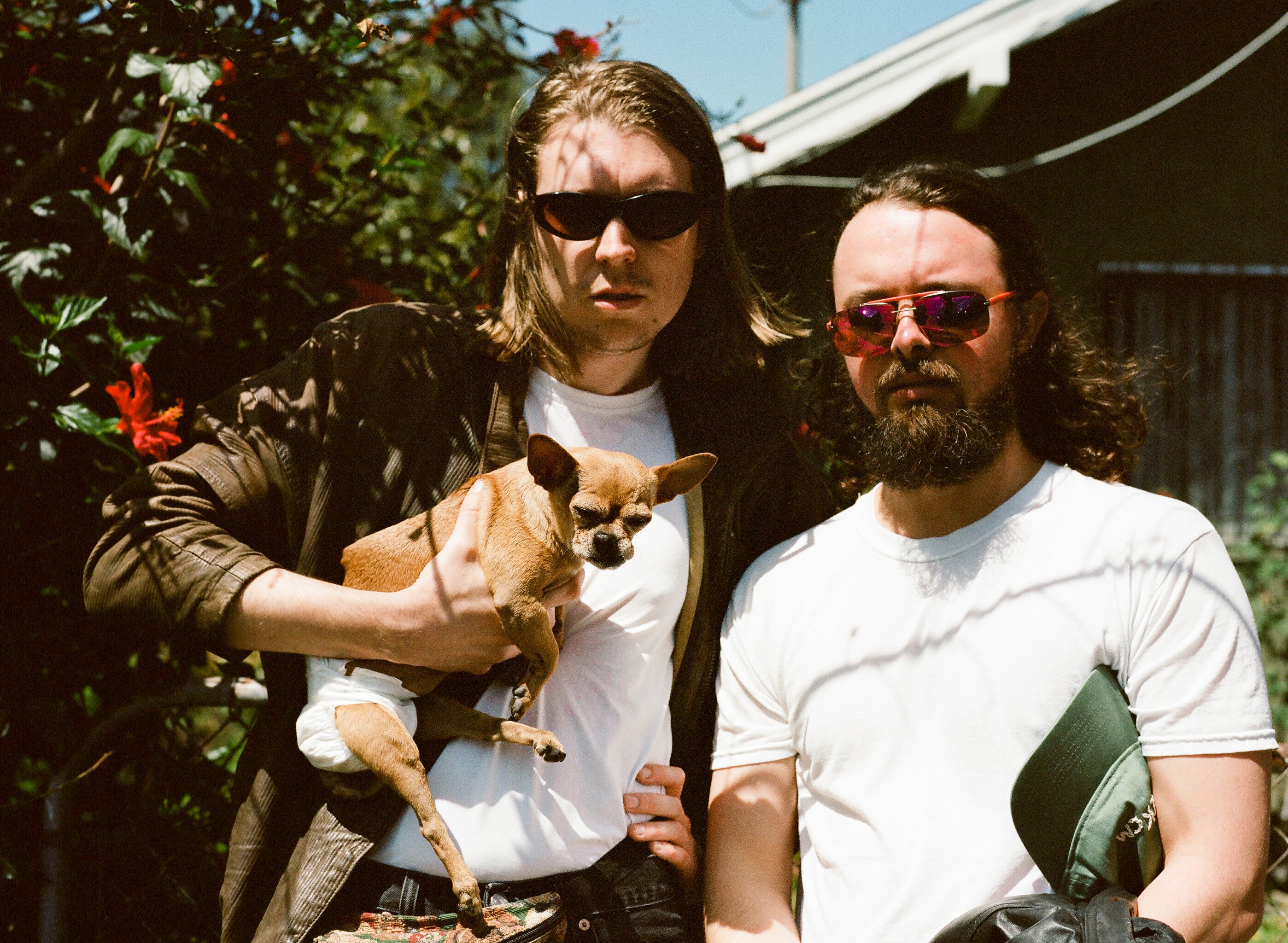Alex Cameron