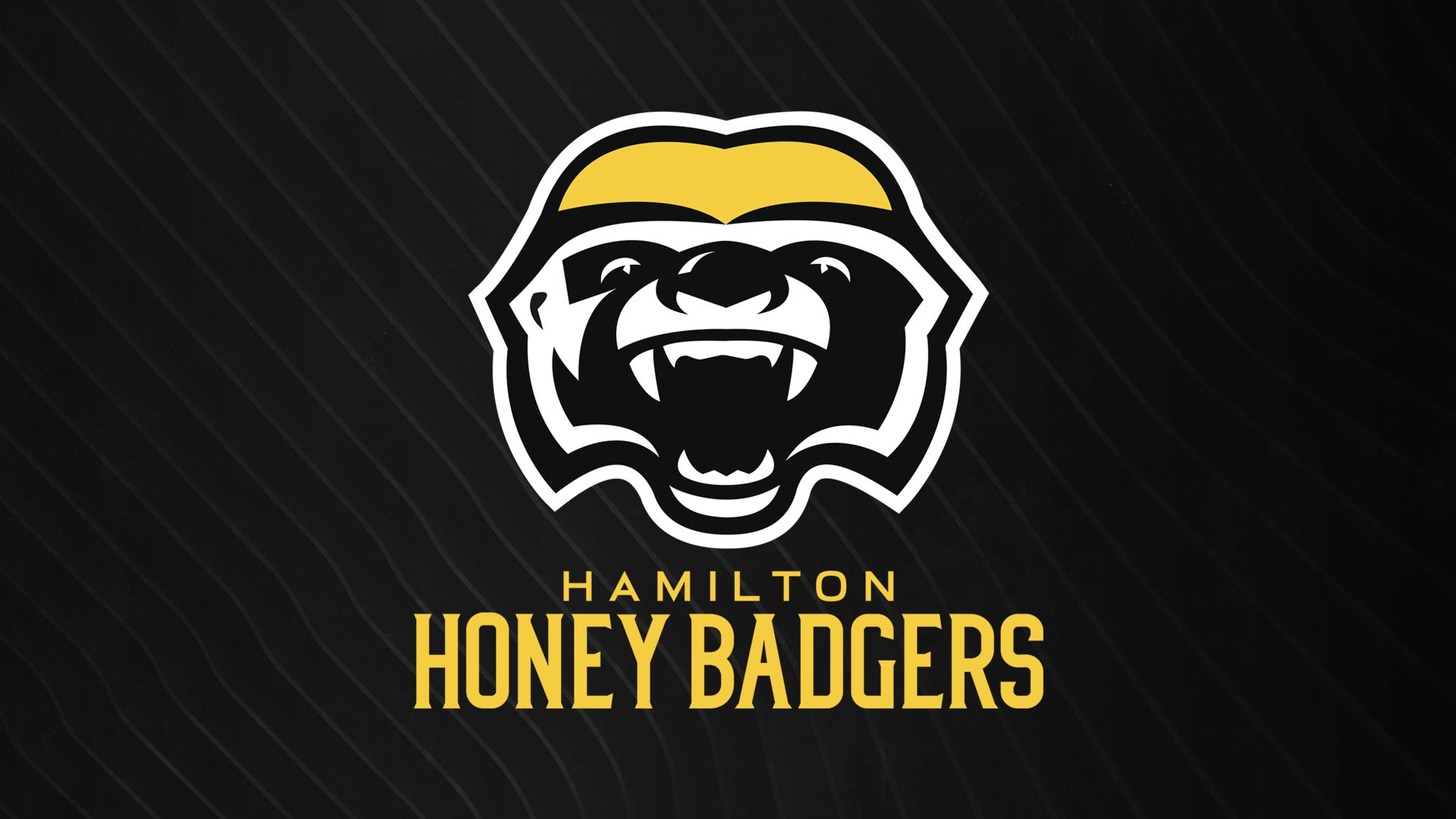 Hamilton Honey Badgers vs. Niagara River Lions in Hamilton promo photo for Ticketmaster presale offer code