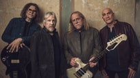 Gov't Mule's Dark Side of the Mule presale password for show tickets in a city near, you (in a city near you)