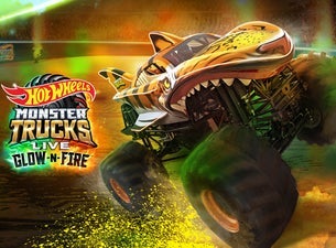 Hot Wheels Monster Trucks Live Glow-N-Fire