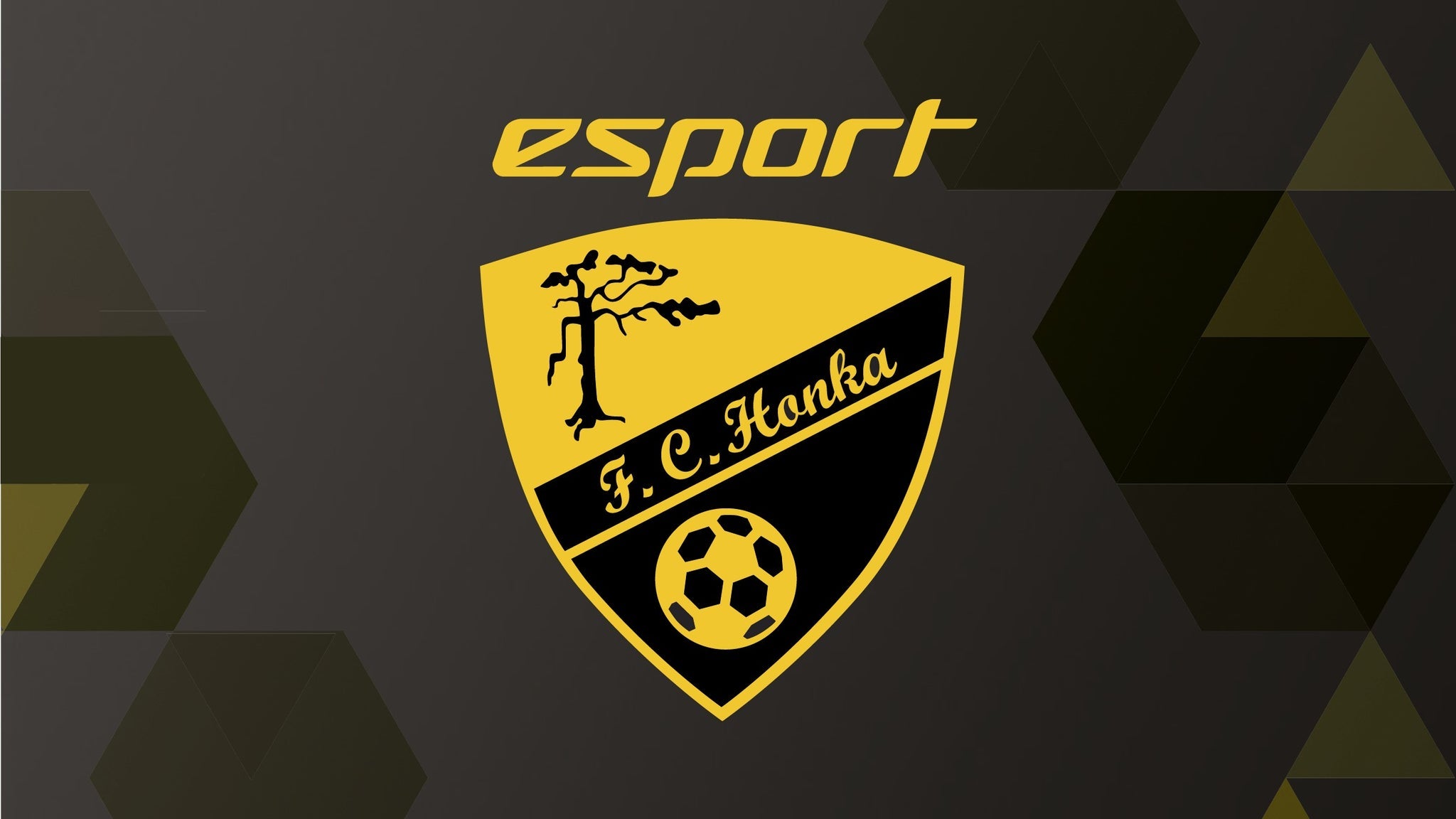 Fc honka ac oulu schedulesite
