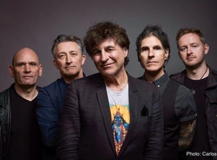 The Chameleons — gig artwork
