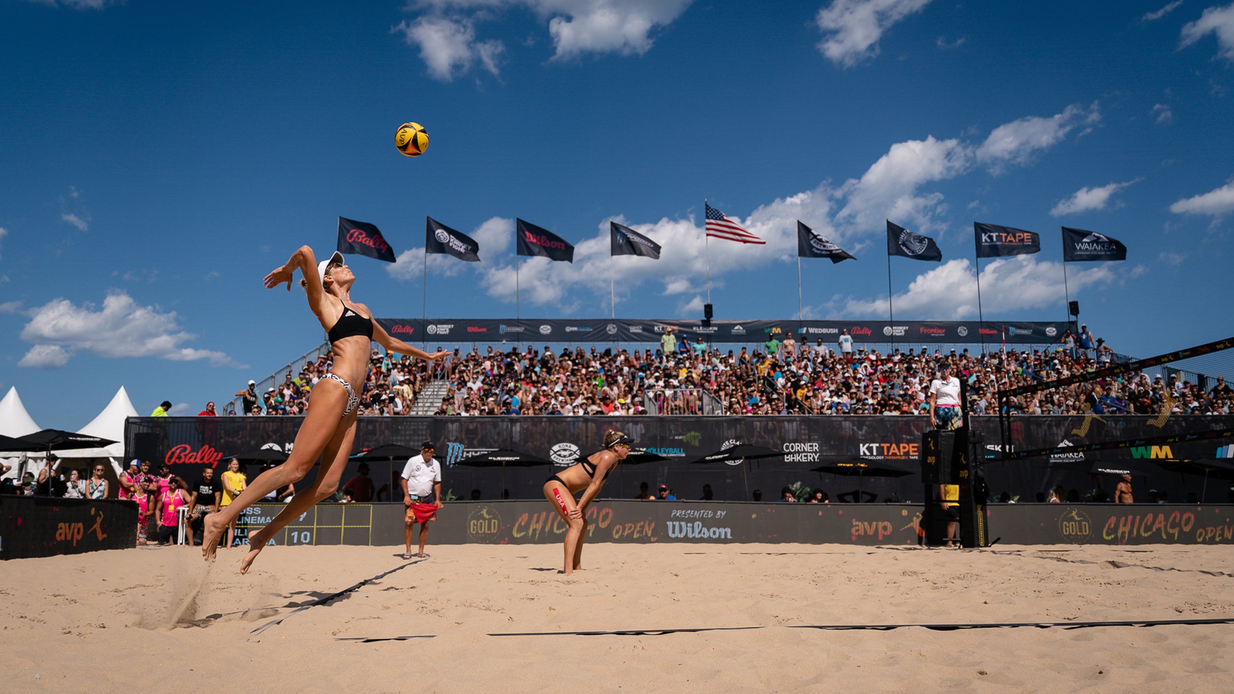 AVP Pro Beach Volleyball hero