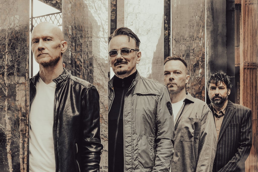 The Pineapple Thief