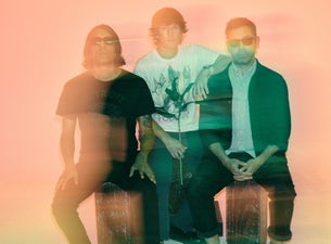 Saves the Day