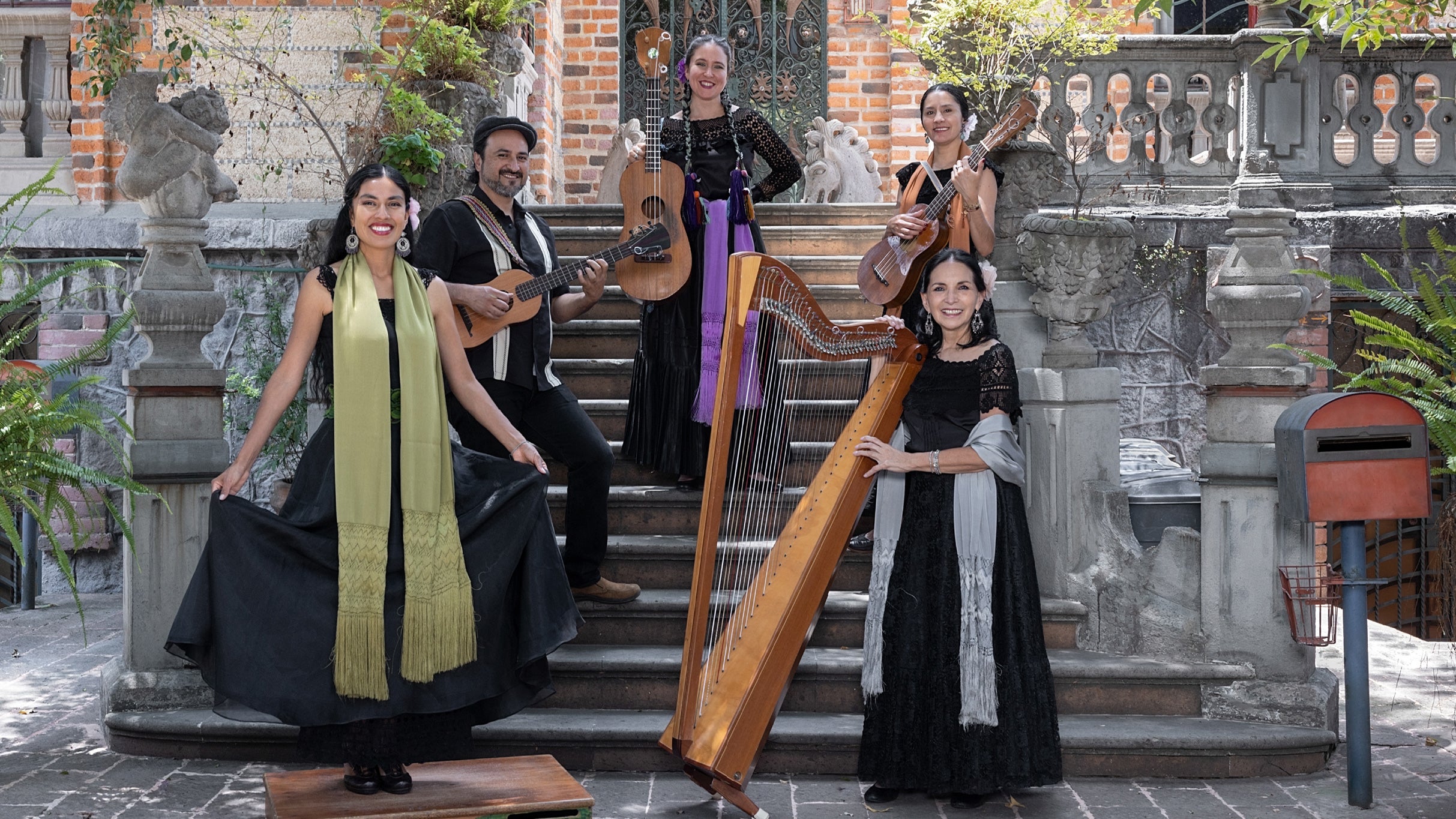 Fandango monumental: Fiesta de son y raíz