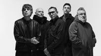 Shed Seven