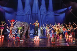 Water for Elephants (Chicago)