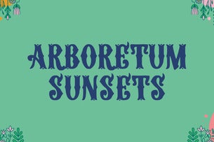 Arboretum Sunsets - Lucy Spraggan.