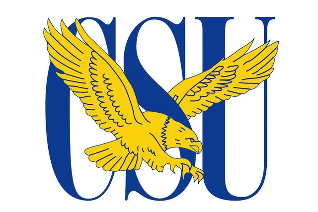 Coppin State Eagles Men's Basketball hero