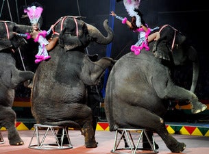 90th Annual Hadi Shrine Circus