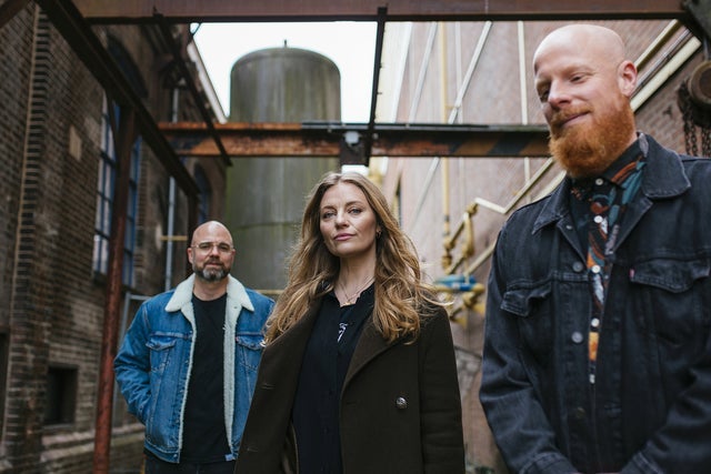 Presale codes for tinlicker: members use these when buying pre-sale tickets