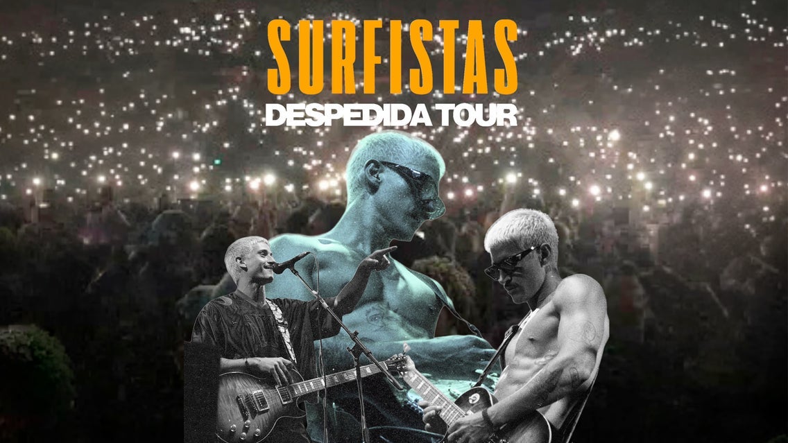 Surfistas del Sistema