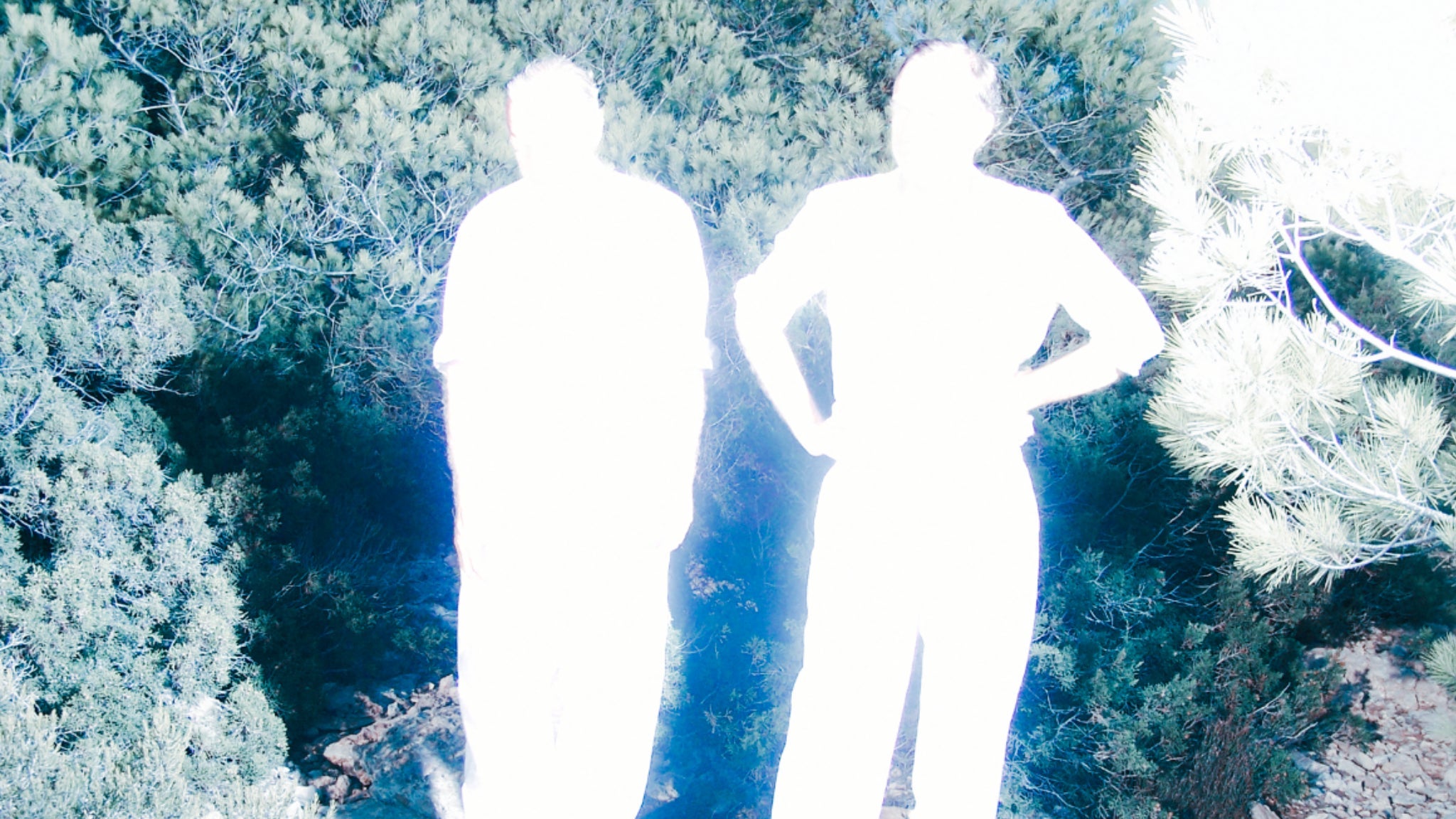 Soulwax