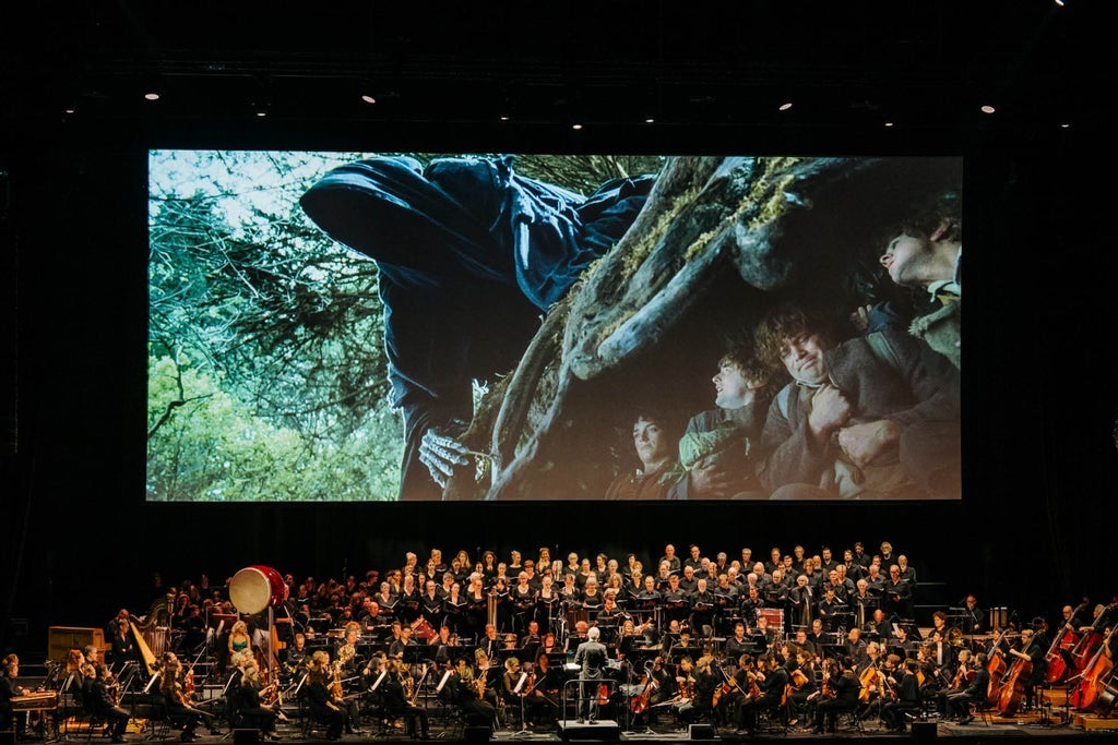 The Lord of the Rings: The Fellowship of the Ring in Concert - #1