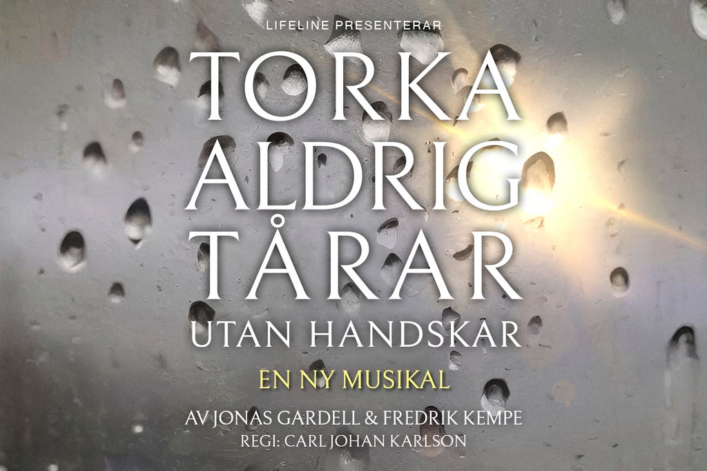 Torka aldrig tårar utan handskar in Sweden