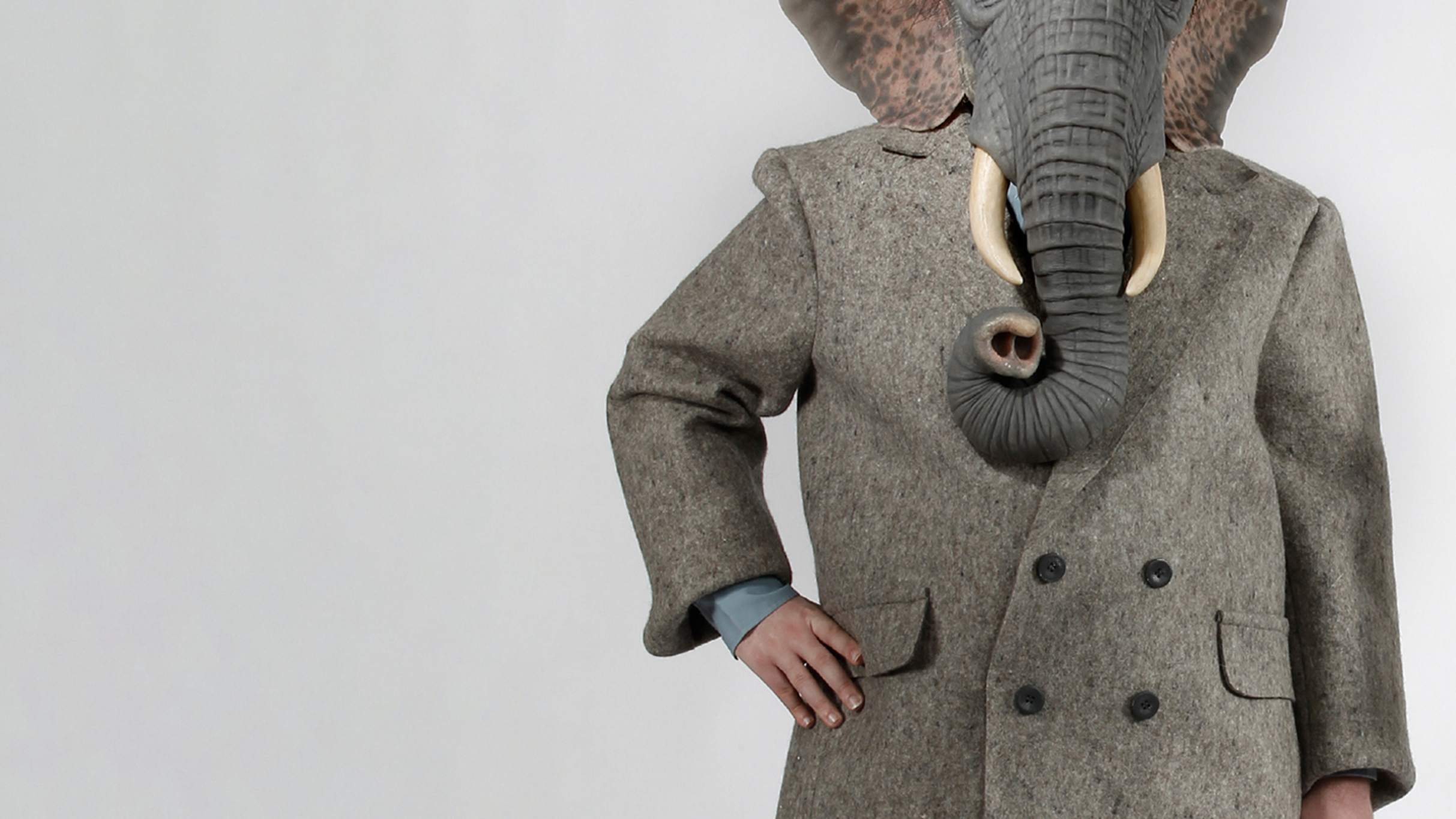 Ganesh Versus the Third Reich