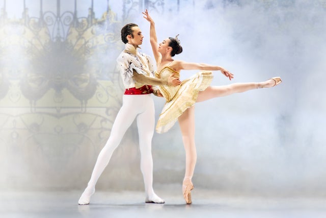 Presales to sleeping beauty: members use these when buying pre-sale tickets